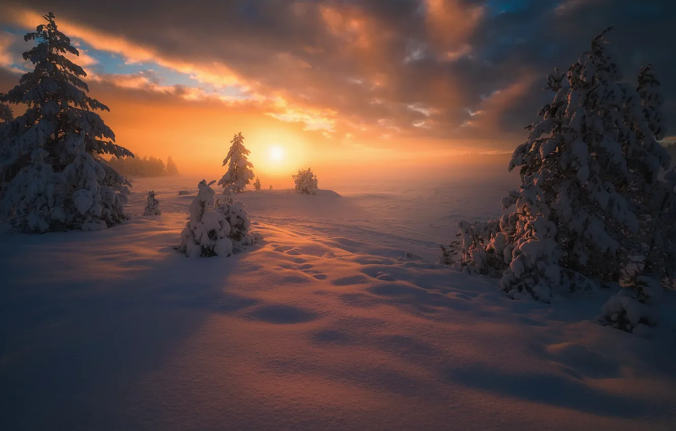 Фото обои sunset, winter, snow