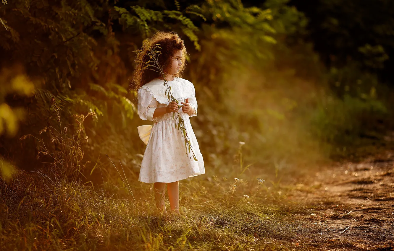 Фото обои трава, закат, природа, платье, девочка, кудри, ребёнок, Wodyk Paweł
