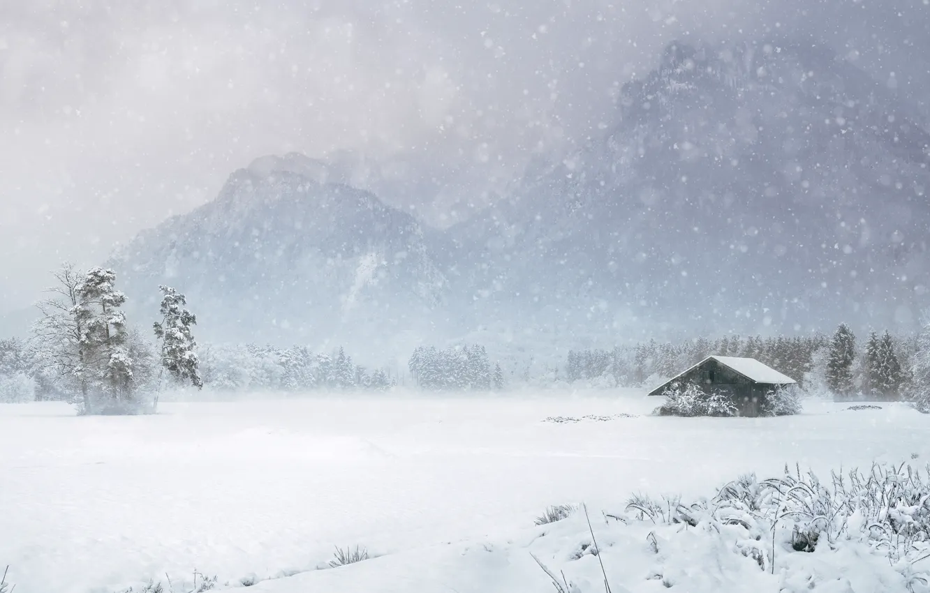 Фото обои зима, поле, лес, снег, деревья, горы, природа, туман