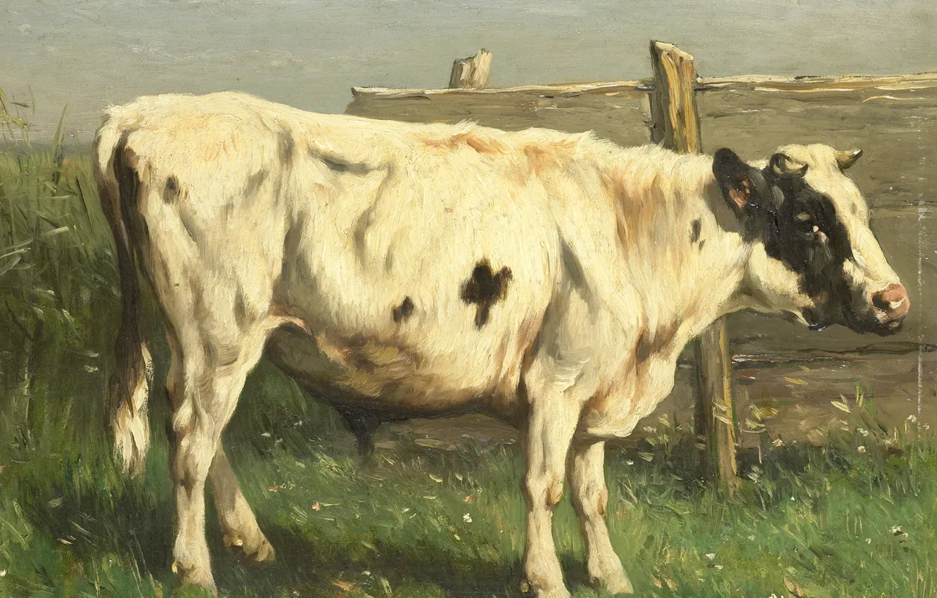 Фото обои масло, картина, 1892, Йоханнес Хубертус Леонардус де Хаас, Молодой бык, Johannes Hubertus Leonardus de Haas