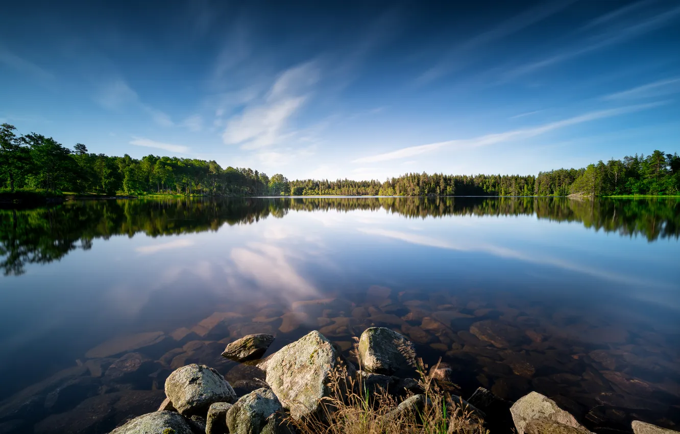Фото обои лес, озеро, камни