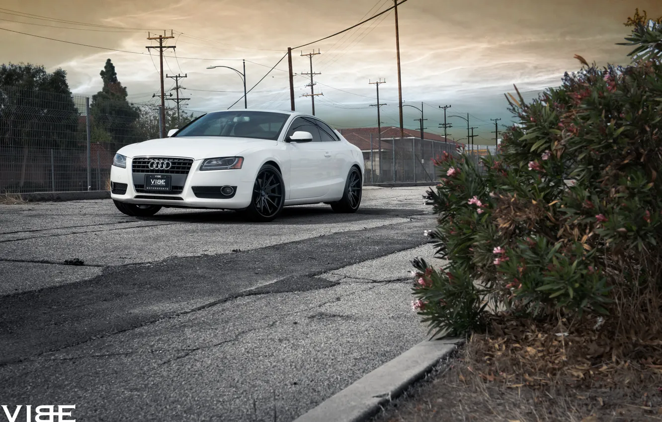 Фото обои машина, Audi, vibe