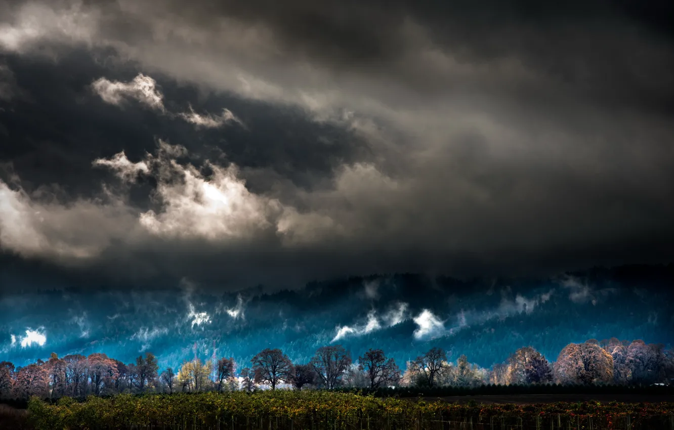 Фото обои landscape, oregon, portland, Fallsauvie island