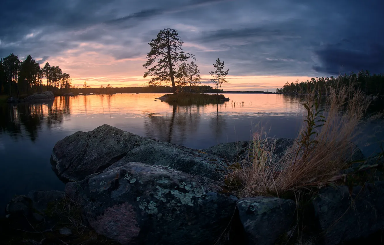 Фото обои камни, островок, водоем, сосна