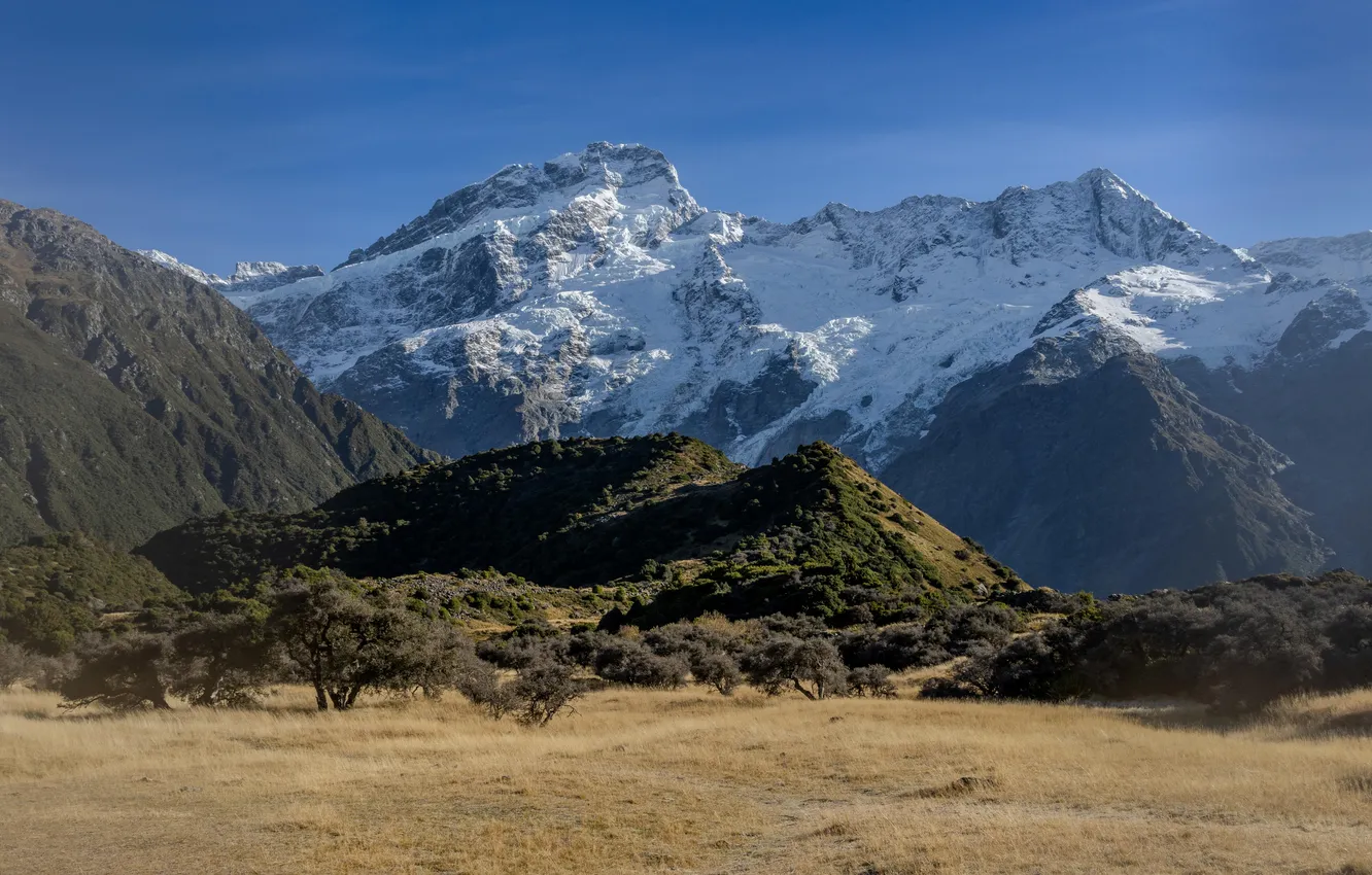 Фото обои forest, sky, trees, field, landscape, New Zealand, nature, mountains