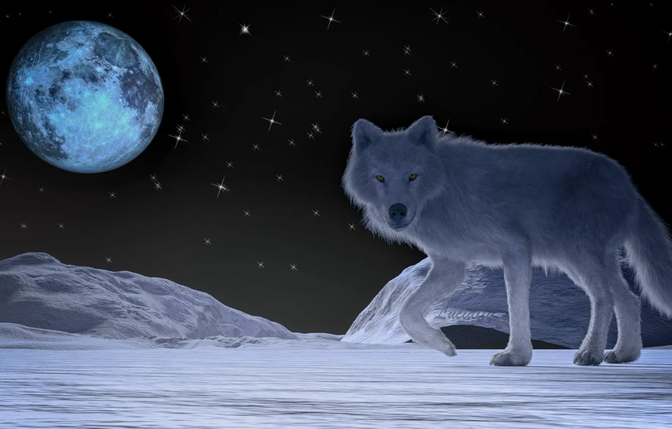 Фото обои ночь, луна, волк