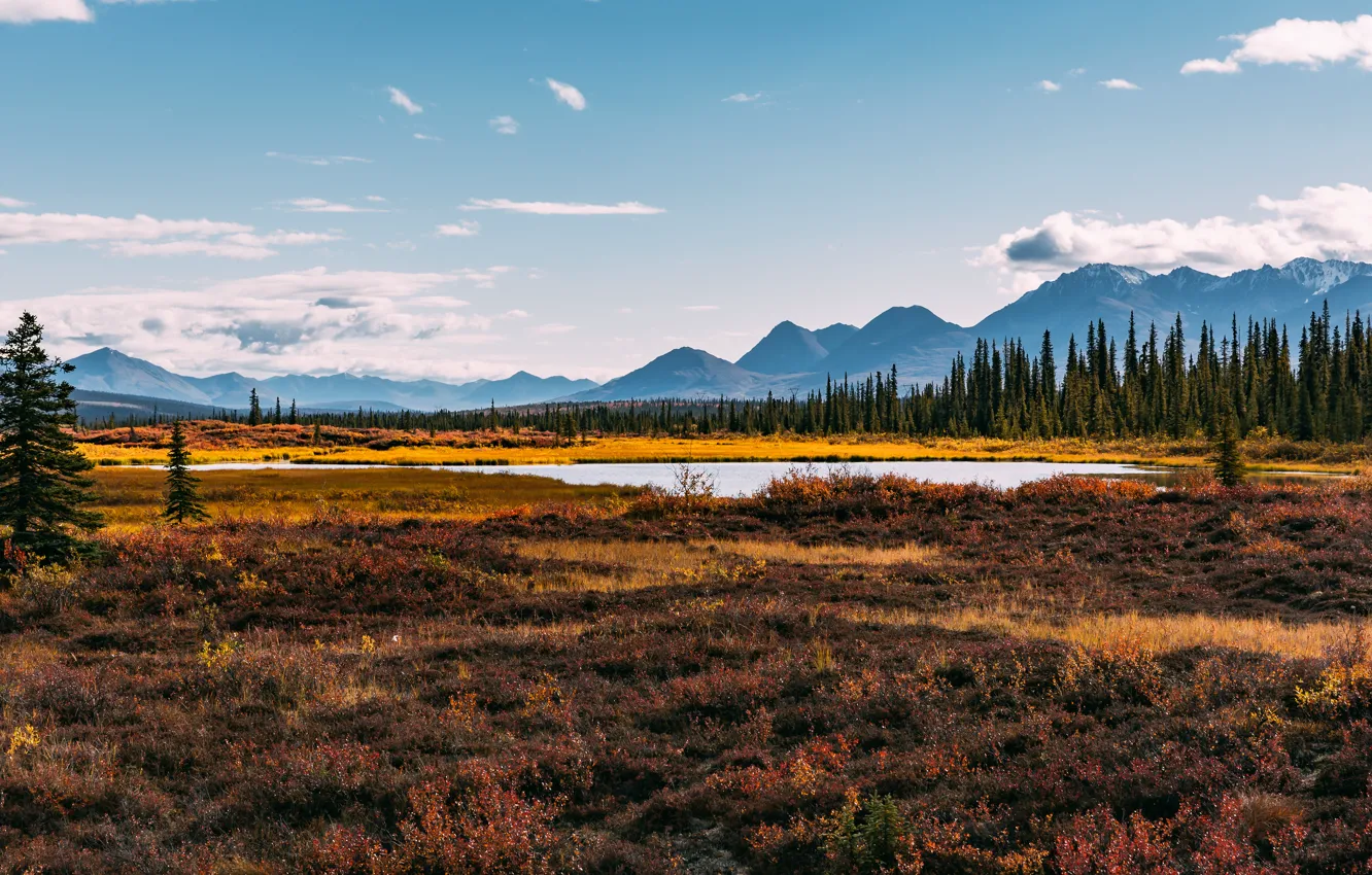 Фото обои небо, облака, горы, река, Аляска, сосна, солнечный, Соединенные Штаты