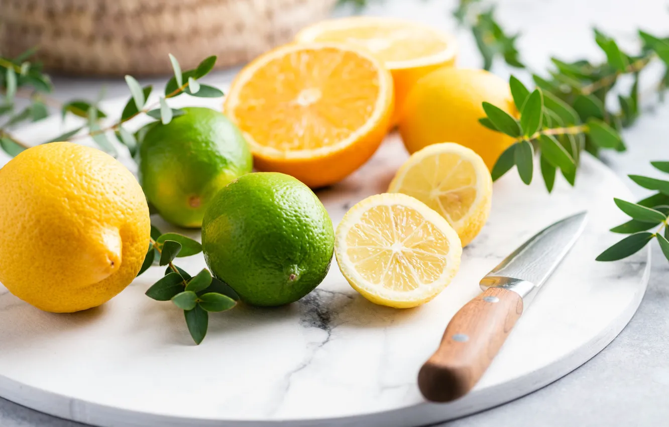 Фото обои ветки, апельсины, нож, лайм, лимоны, цитрусовые
