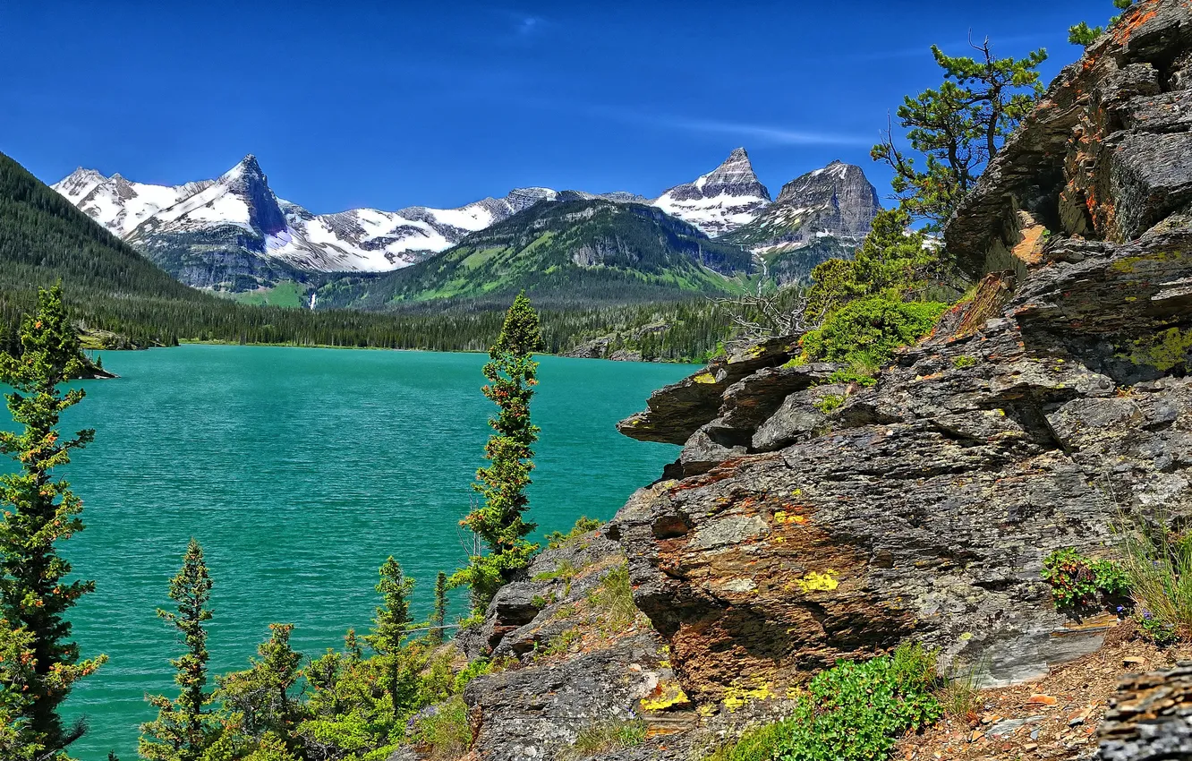 Фото обои деревья, горы, озеро, Glacier National Park, Saint Mary Lake, Montana