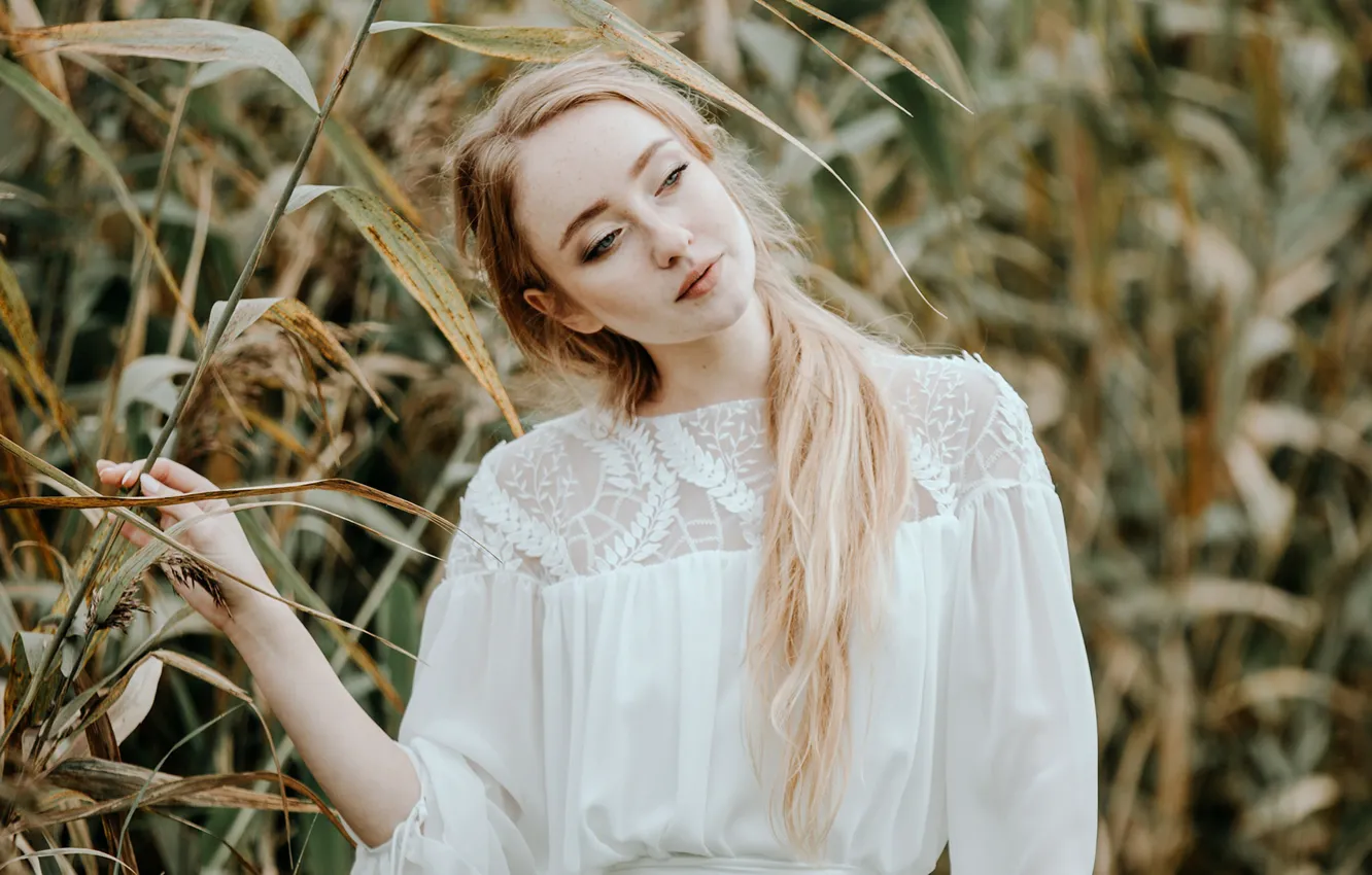 Фото обои взгляд, девушка, портрет