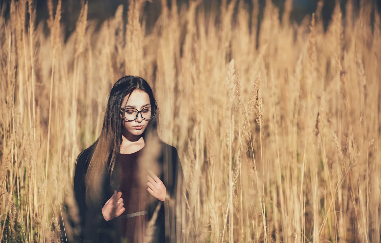 Фото обои girl, field, glasses