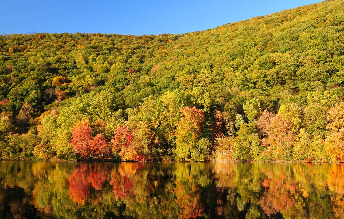 Фото обои осень, лес, небо, деревья, горы, озеро, склон