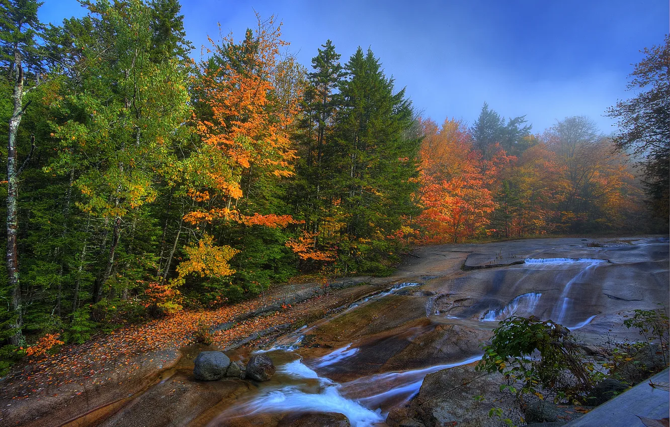 Фото обои осень, лес, небо, деревья, река, камни, скалы