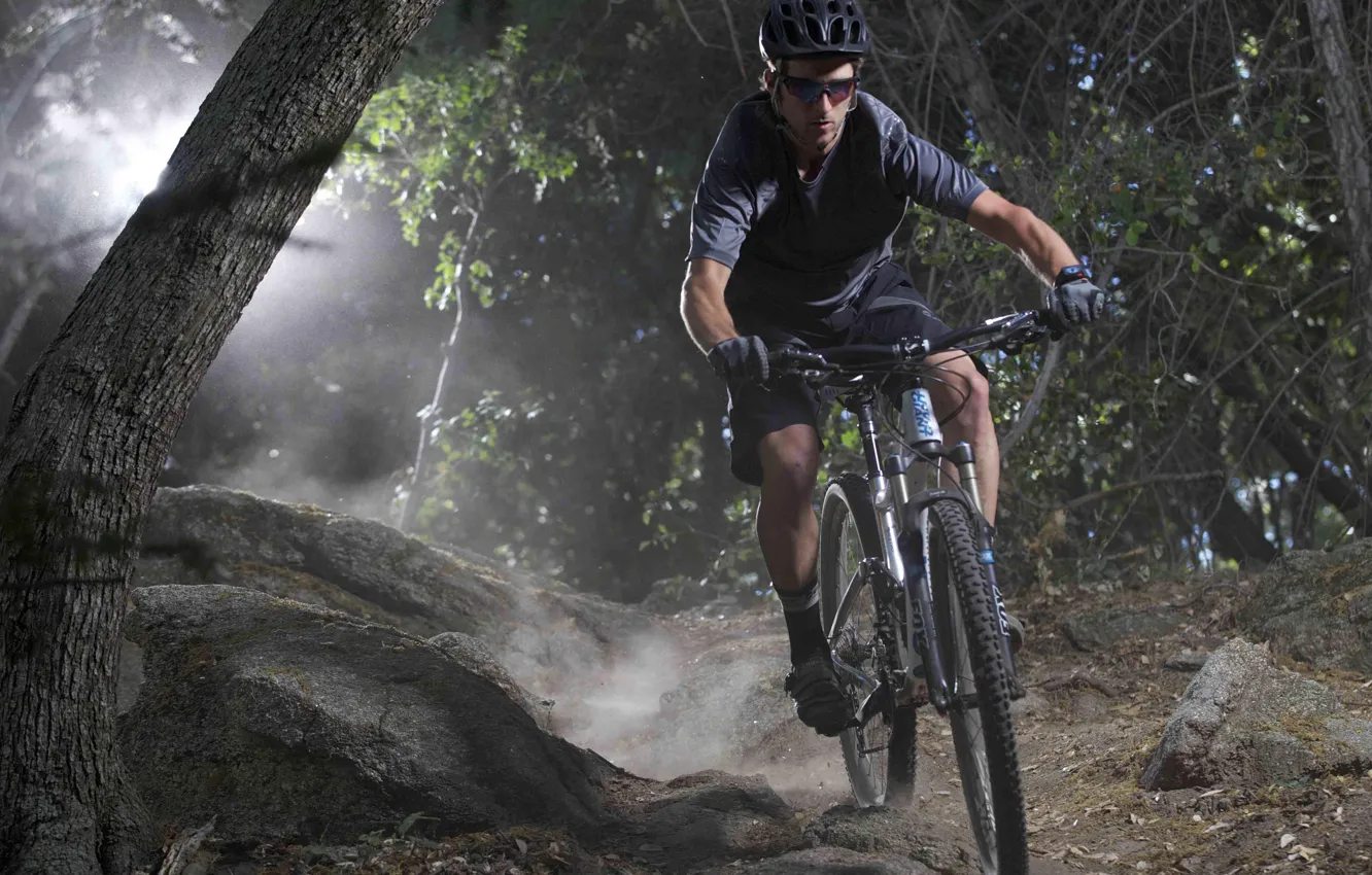 Фото обои лес, спорт, спортсмен, nature, man, mountain bike, cyclist