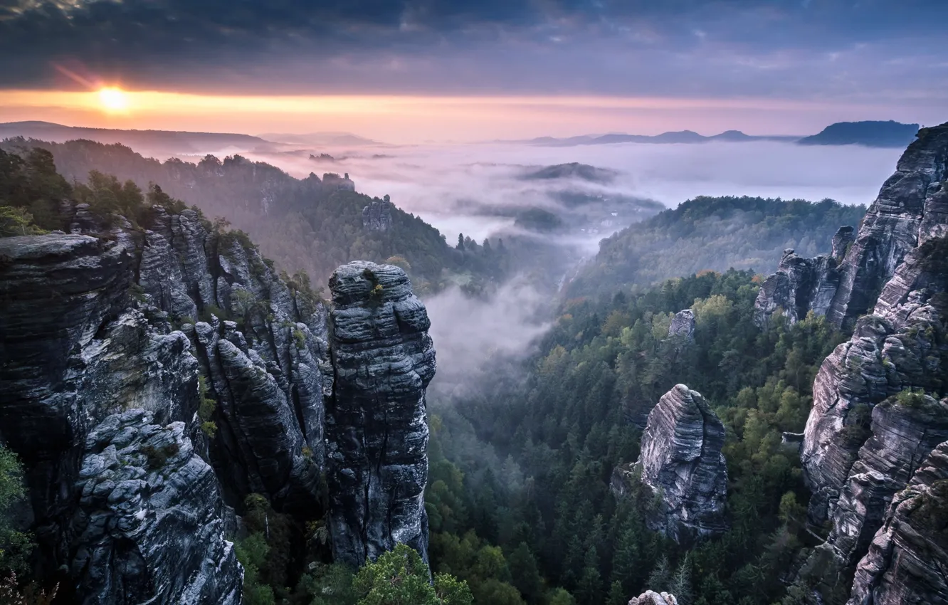 Фото обои Clouds, Landscape, Sunrise, Mist, Rocks, Fog, Saxon Switzerland