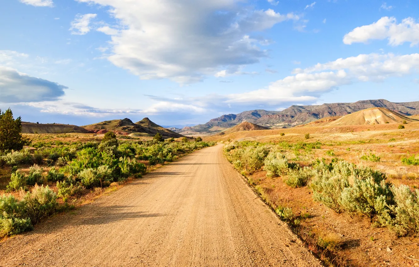 Фото обои road, field, landscape