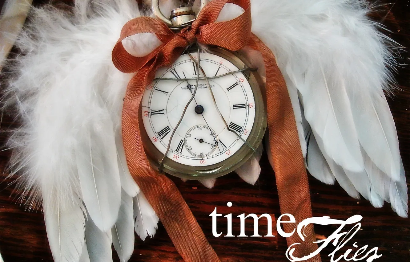 Фото обои время, часы, крылья, старые, ангел, wings, old, angel
