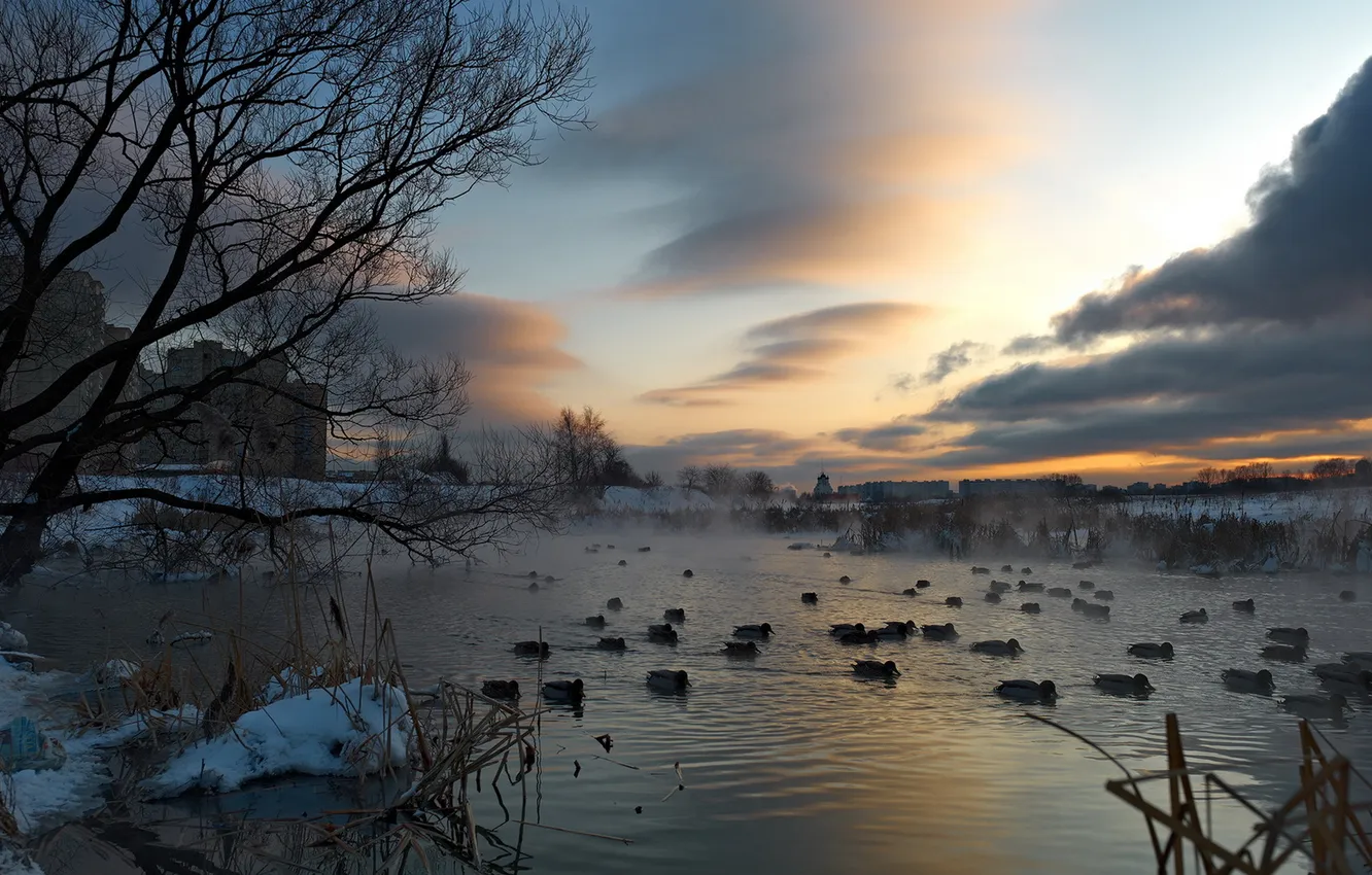 Фото обои city, river, evening, mood, ducks, decline, mytischi, leica