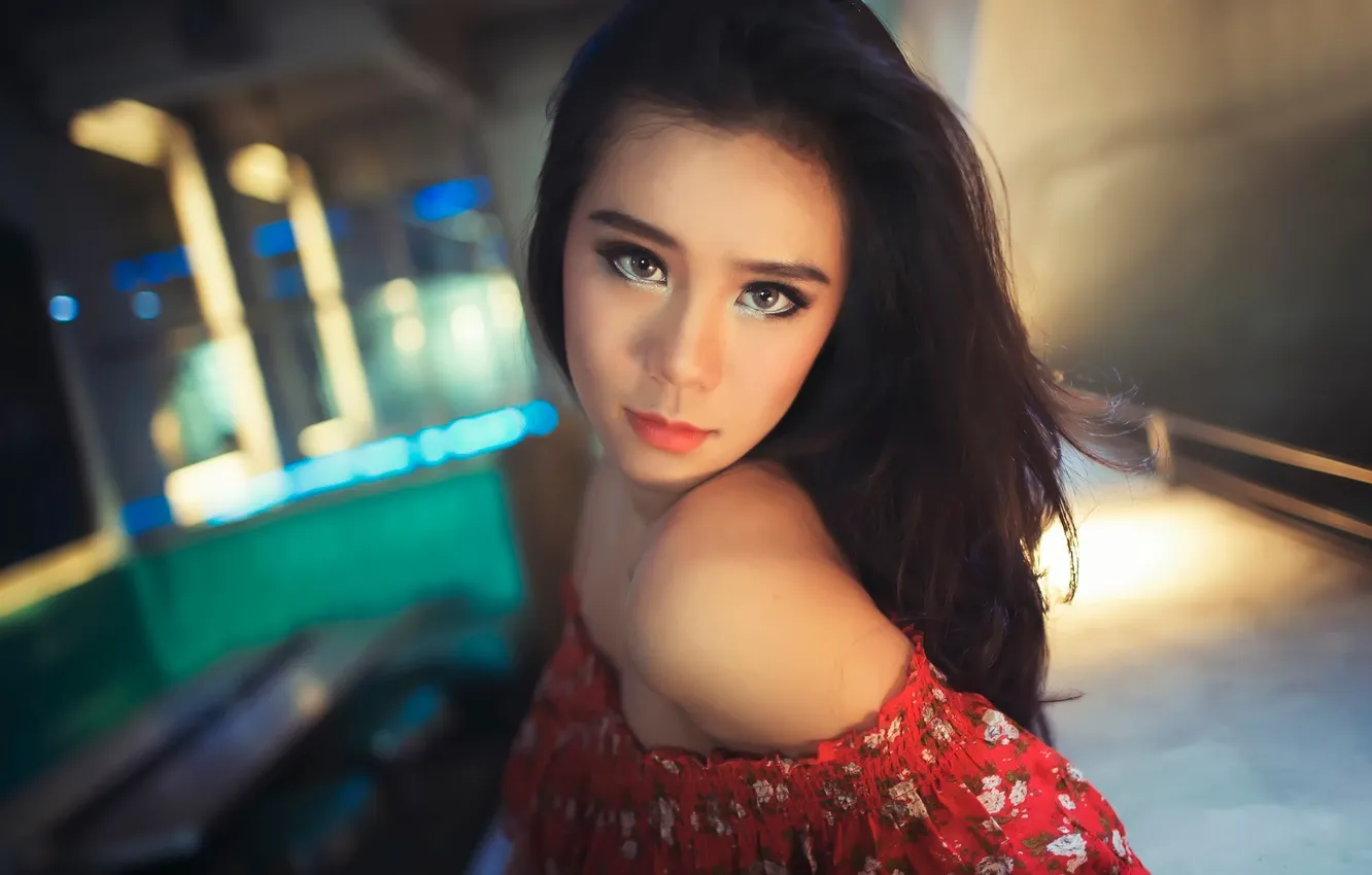 Фото обои взгляд, портрет, плечо, Steffy