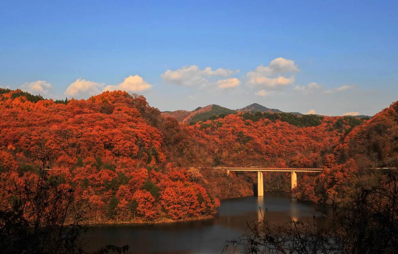 Фото обои осень, лес, небо, горы, мост, река