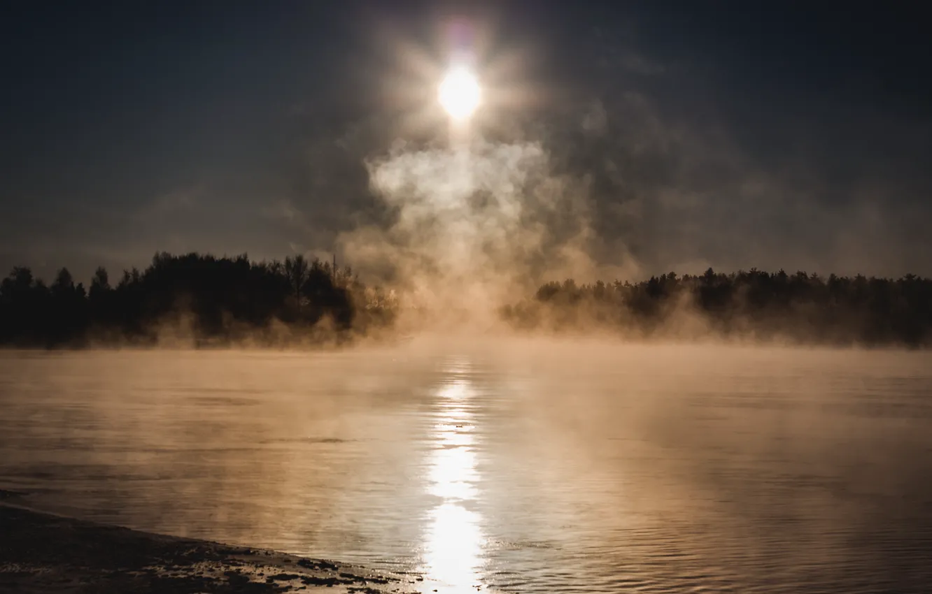 Фото обои холод, лес, солнце, туман, озеро