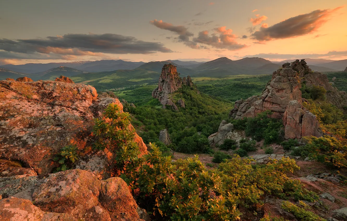 Фото обои лес, небо, трава, облака, лучи, деревья, пейзаж, горы