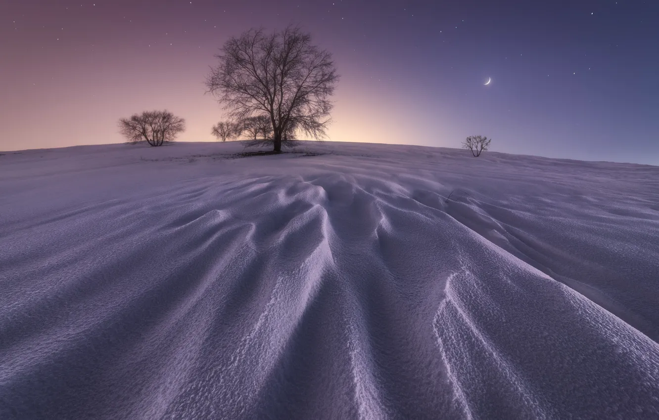 Фото обои зима, звезды, снег, дерево, Луна, moon, winter, snow