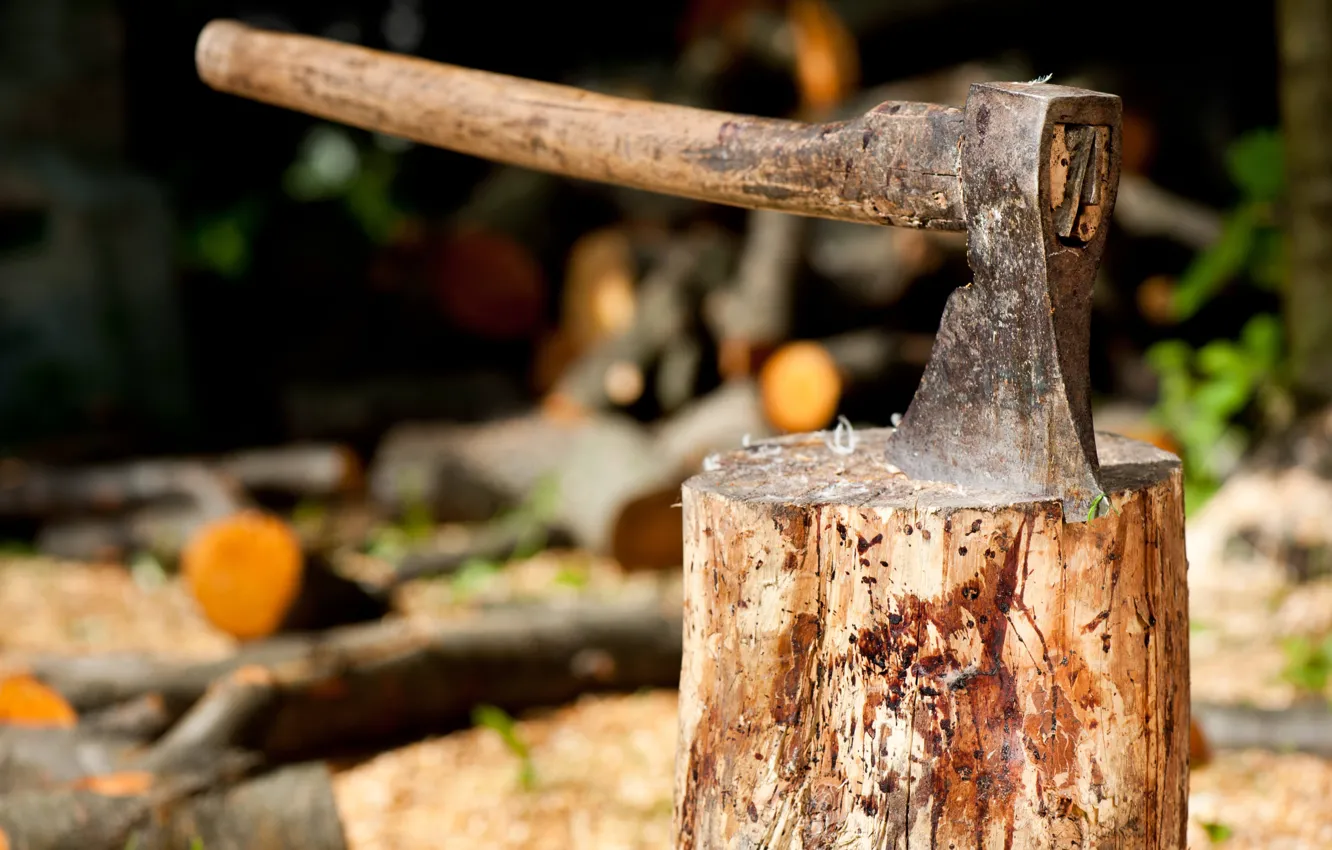 Фото обои axe, metal, wood, trunk