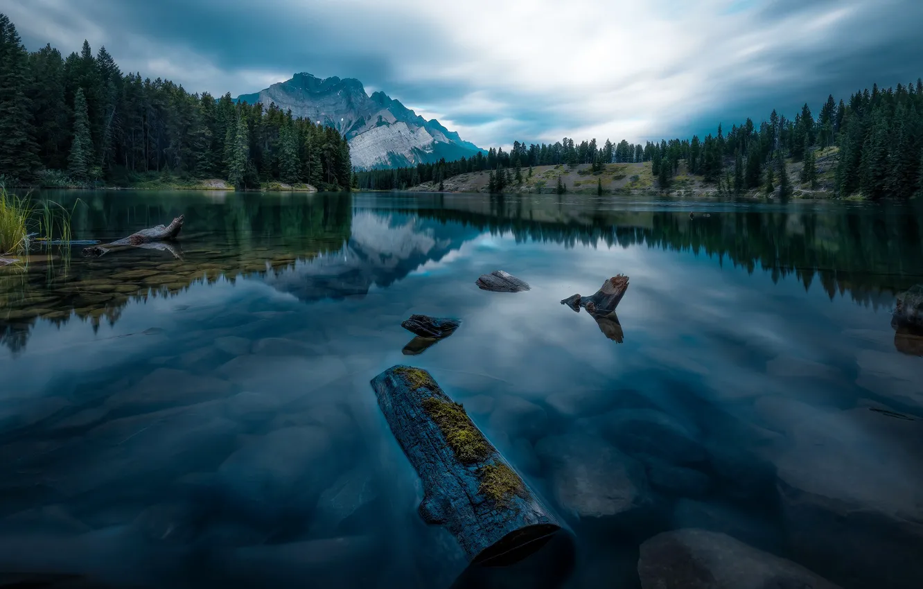 Фото обои лес, небо, озеро, отражение, Канада, Jasper National Park, Maligne
