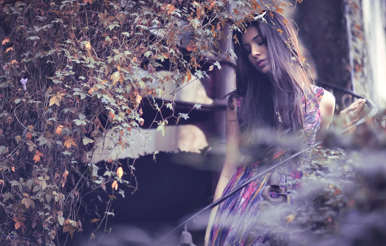 Фото обои листья, девушка, портрет, платье, боке