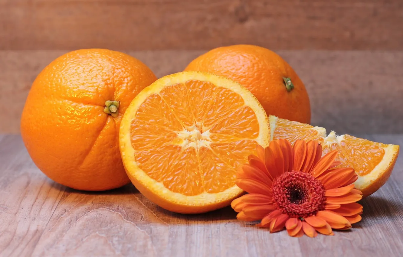 Фото обои цветок, апельсин, цитрусы, гербера