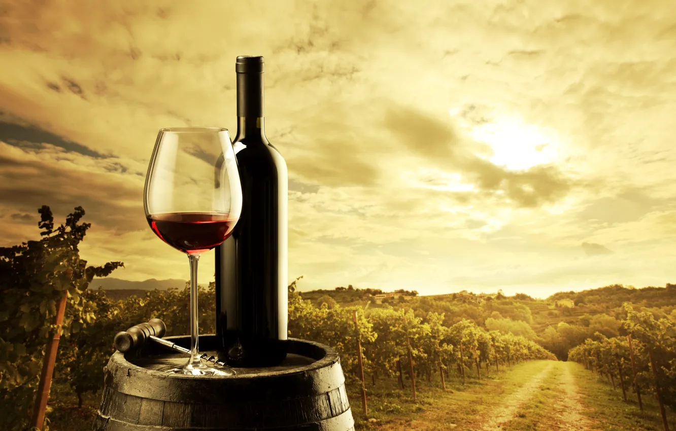 Фото обои вино, красное, бокал, бутылка, бочка, штопор, виноградники