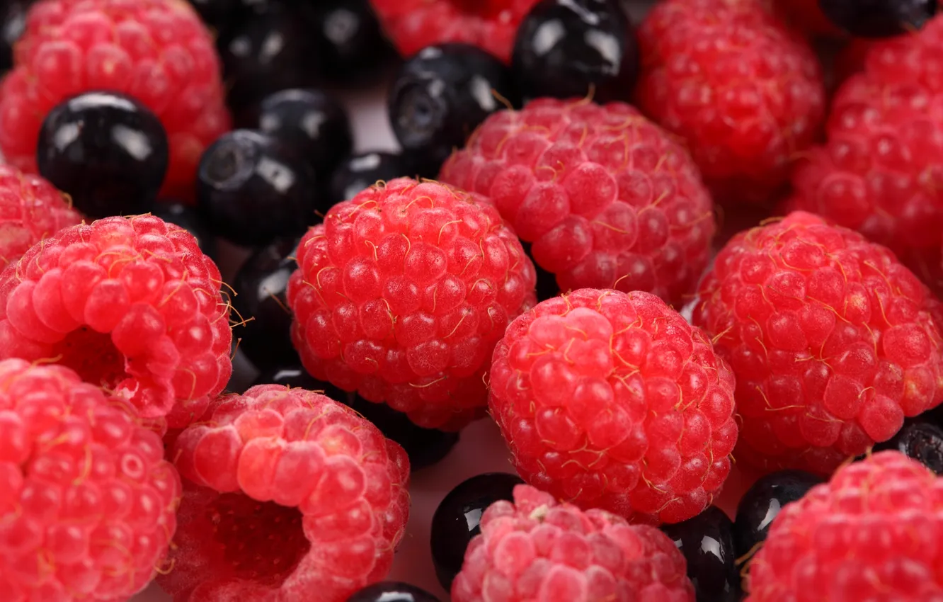 Фото обои ягоды, малина, черника, raspberry, blueberries