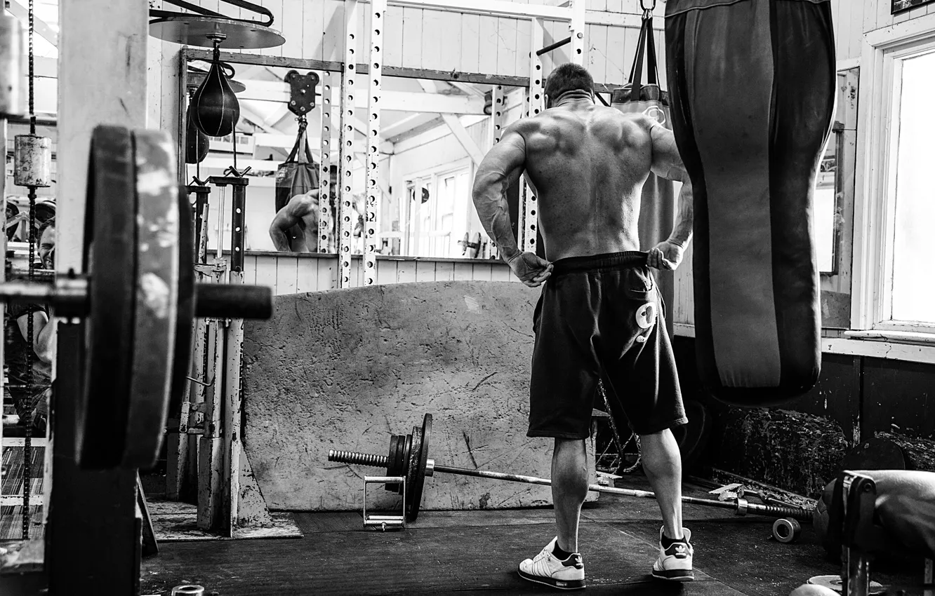 Фото обои поза, спина, груша, muscle, мышцы, штанга, бодибилдинг, тренажерный зал