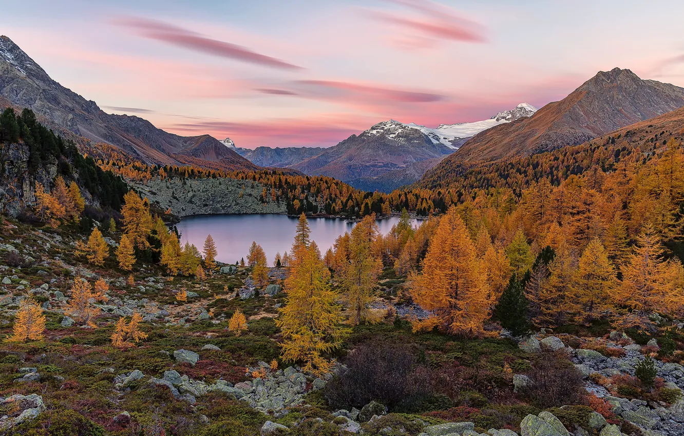 Фото обои осень, лес, горы, озеро, растительность, склоны, Альпы, водоем