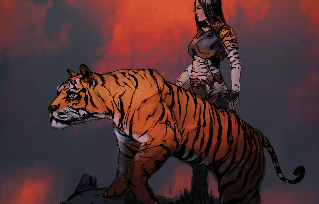 Фото обои девушка, тигр, зверь, друзья, tigersketch