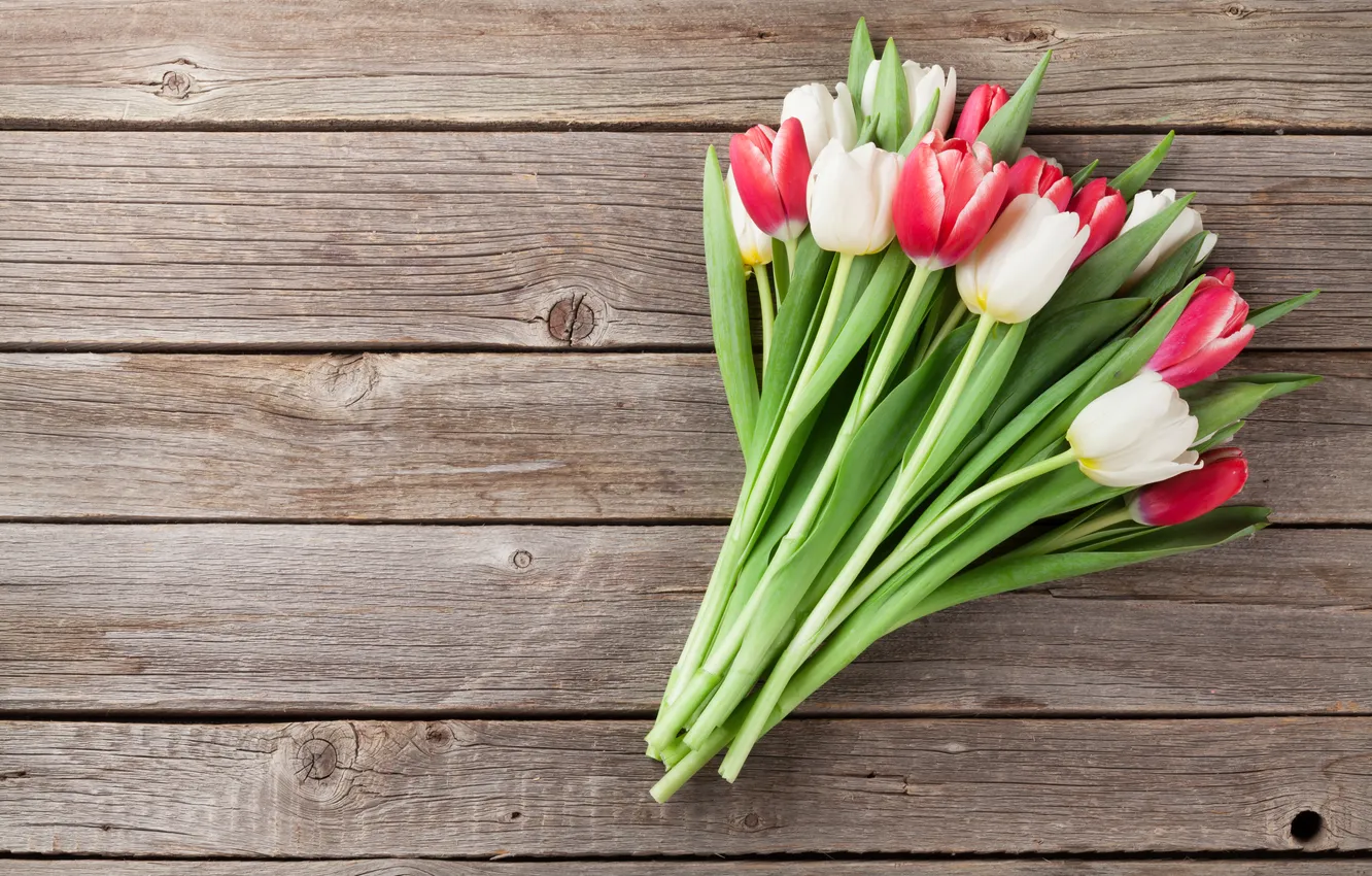 Фото обои цветы, букет, тюльпаны, red, white, wood, flowers, tulips