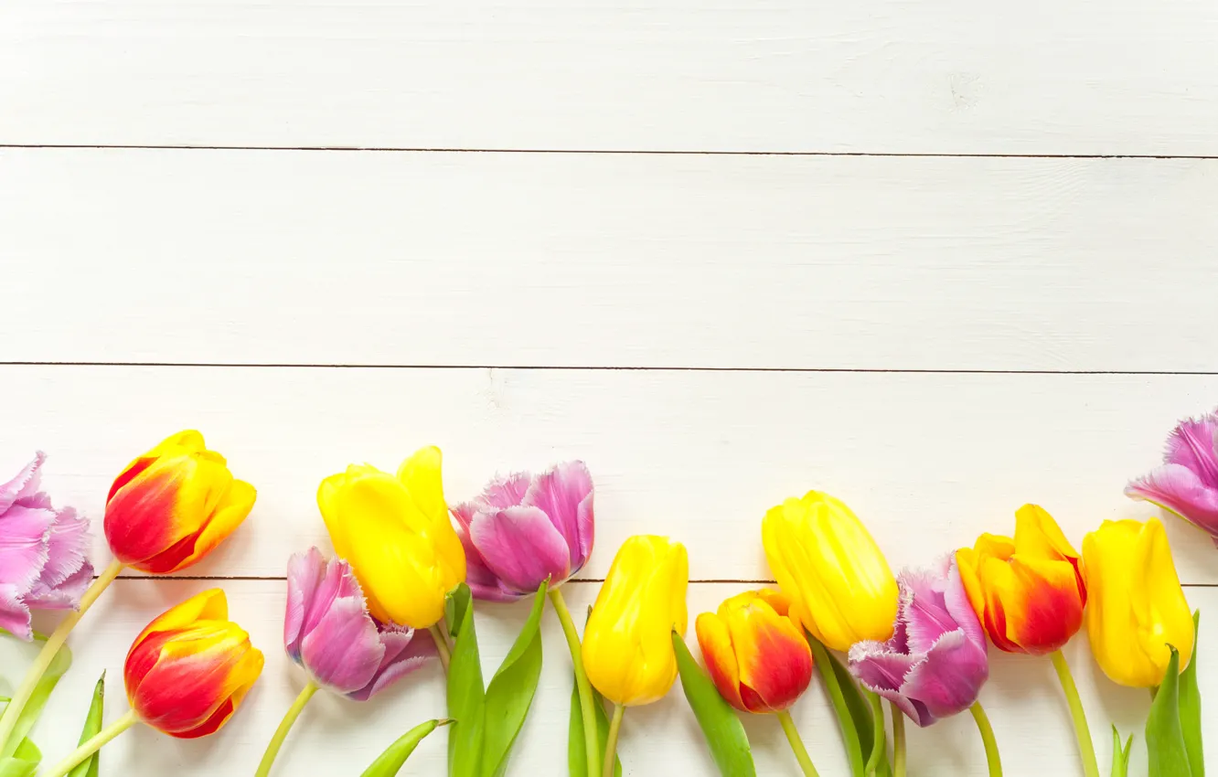 Фото обои цветы, весна, colorful, тюльпаны, fresh, wood, flowers, beautiful