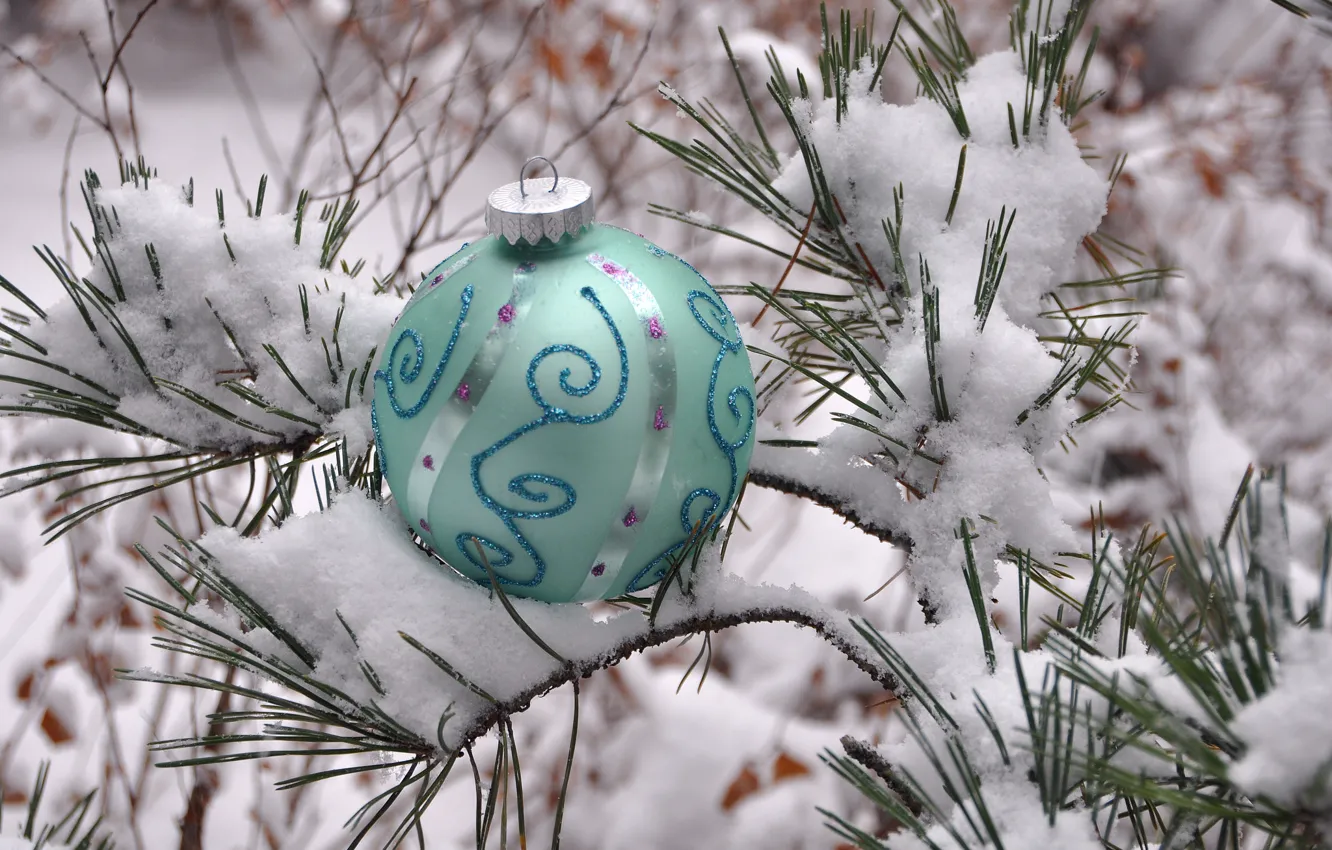 Фото обои зима, снег, иголки, новый год, шар, рождество, украшение, сосна