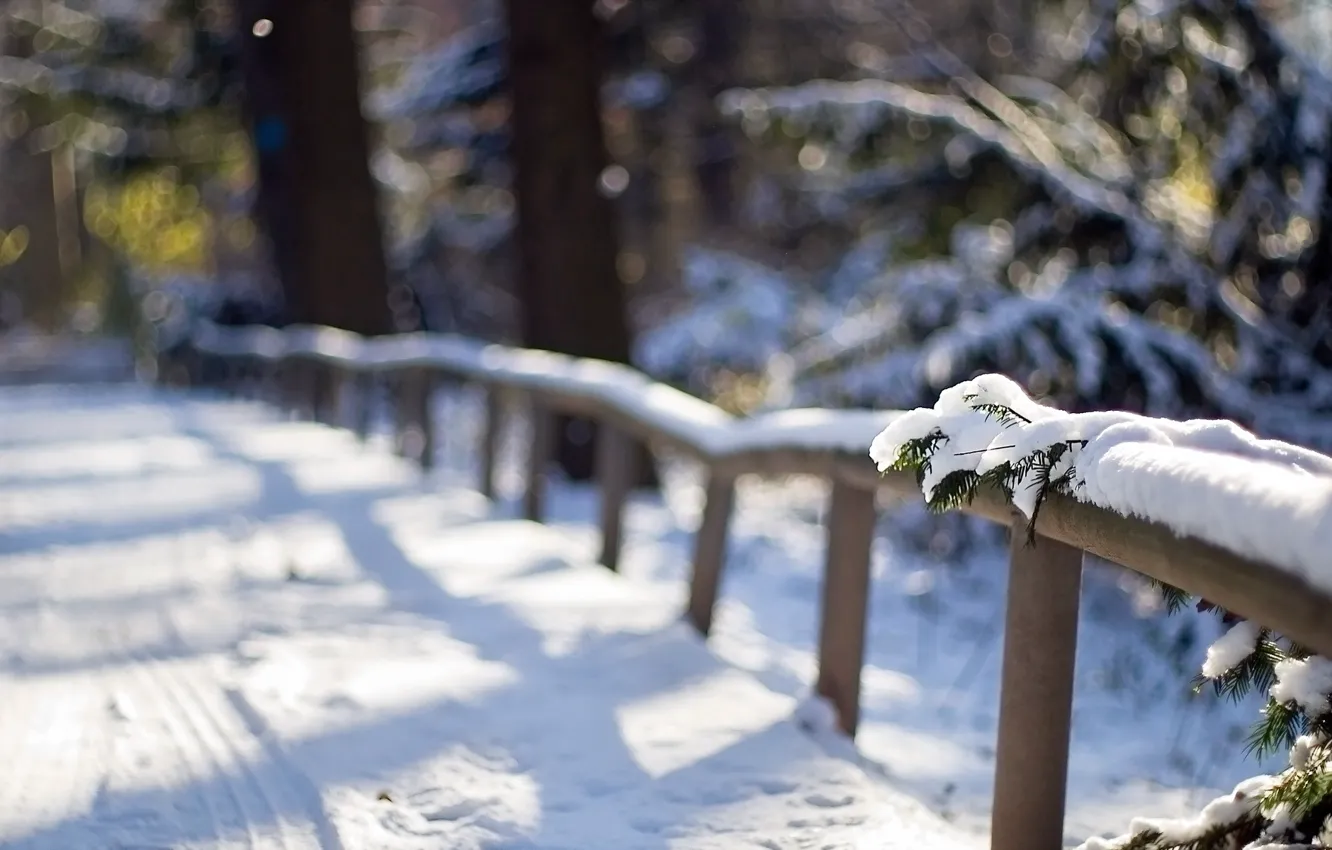 Фото обои зима, макро, снег, забор