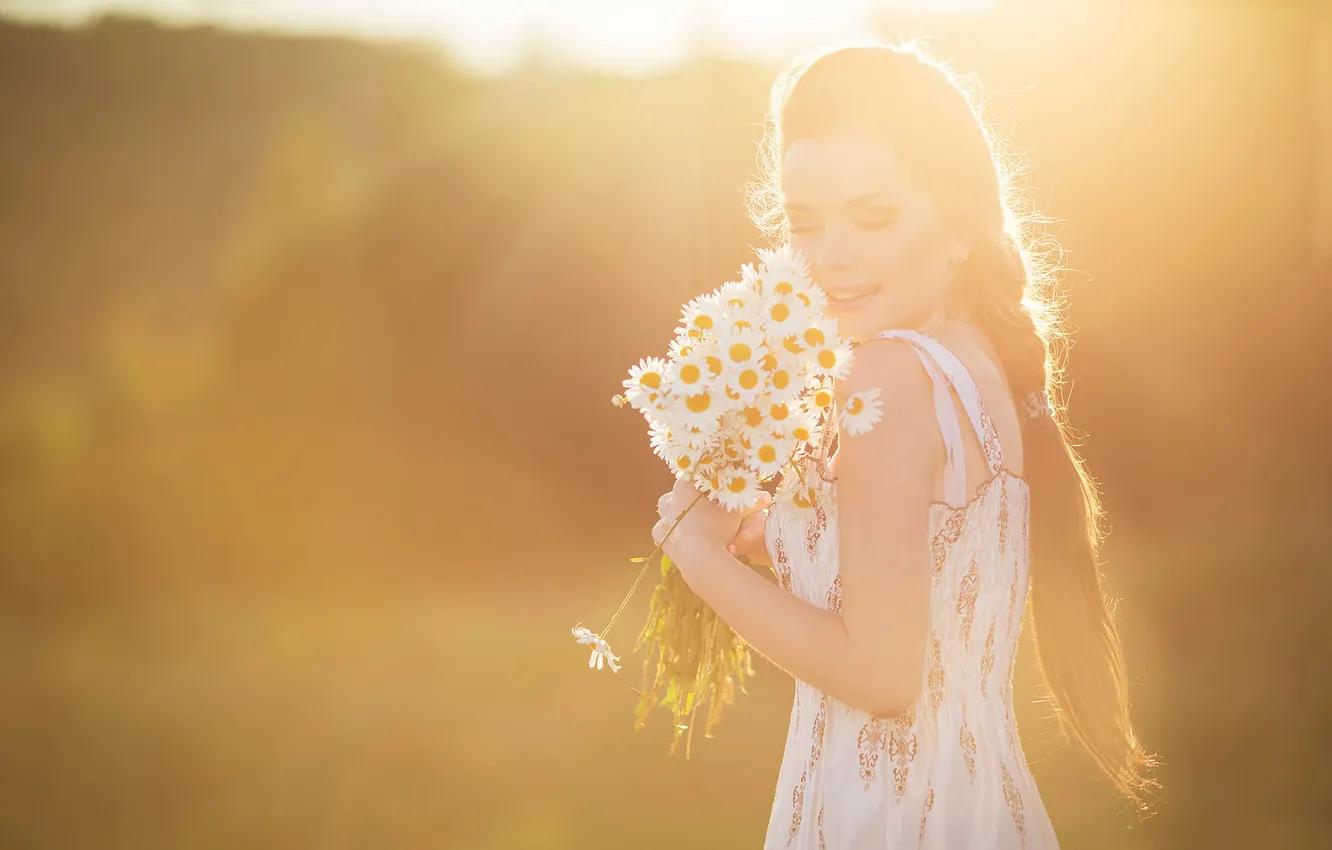 Фото обои лето, девушка, ромашки, букет, sunlight