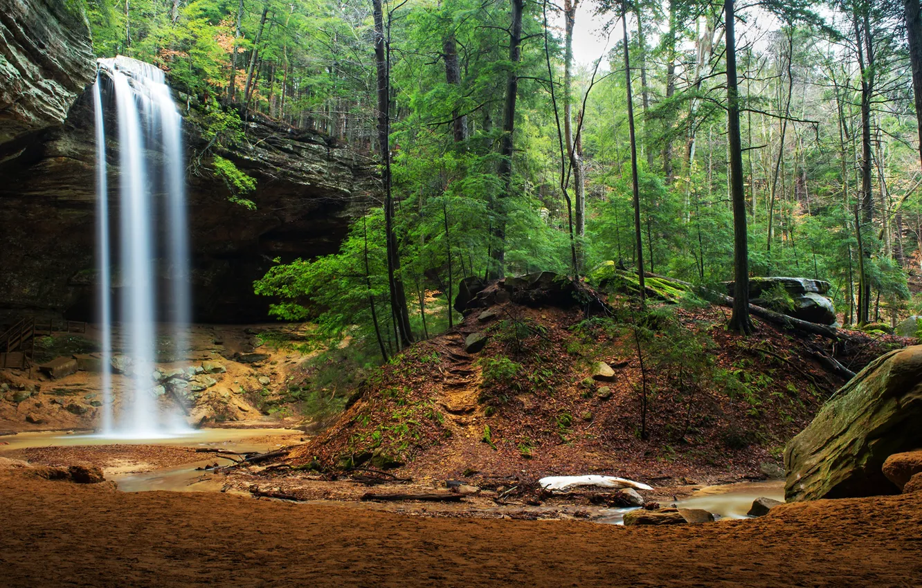 Фото обои лес, деревья, скала, камни, водопад, США, Ohio, Hocking Hills