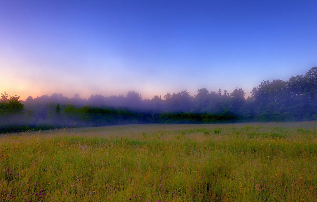 Фото обои поле, пейзаж, природа, туман