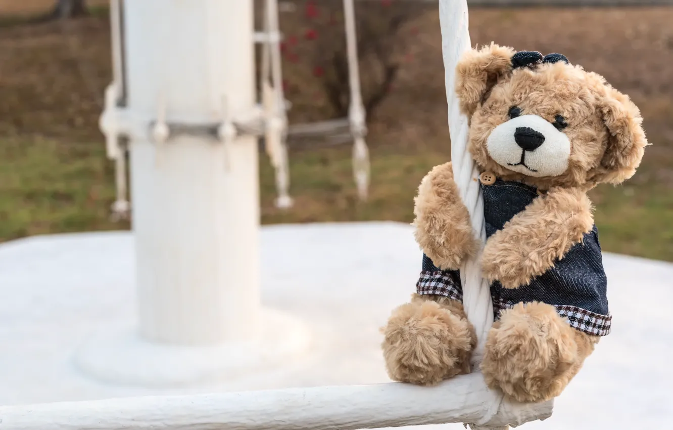 Фото обои игрушка, медведь, girl, bear, teddy, одинокий, cute, lonely