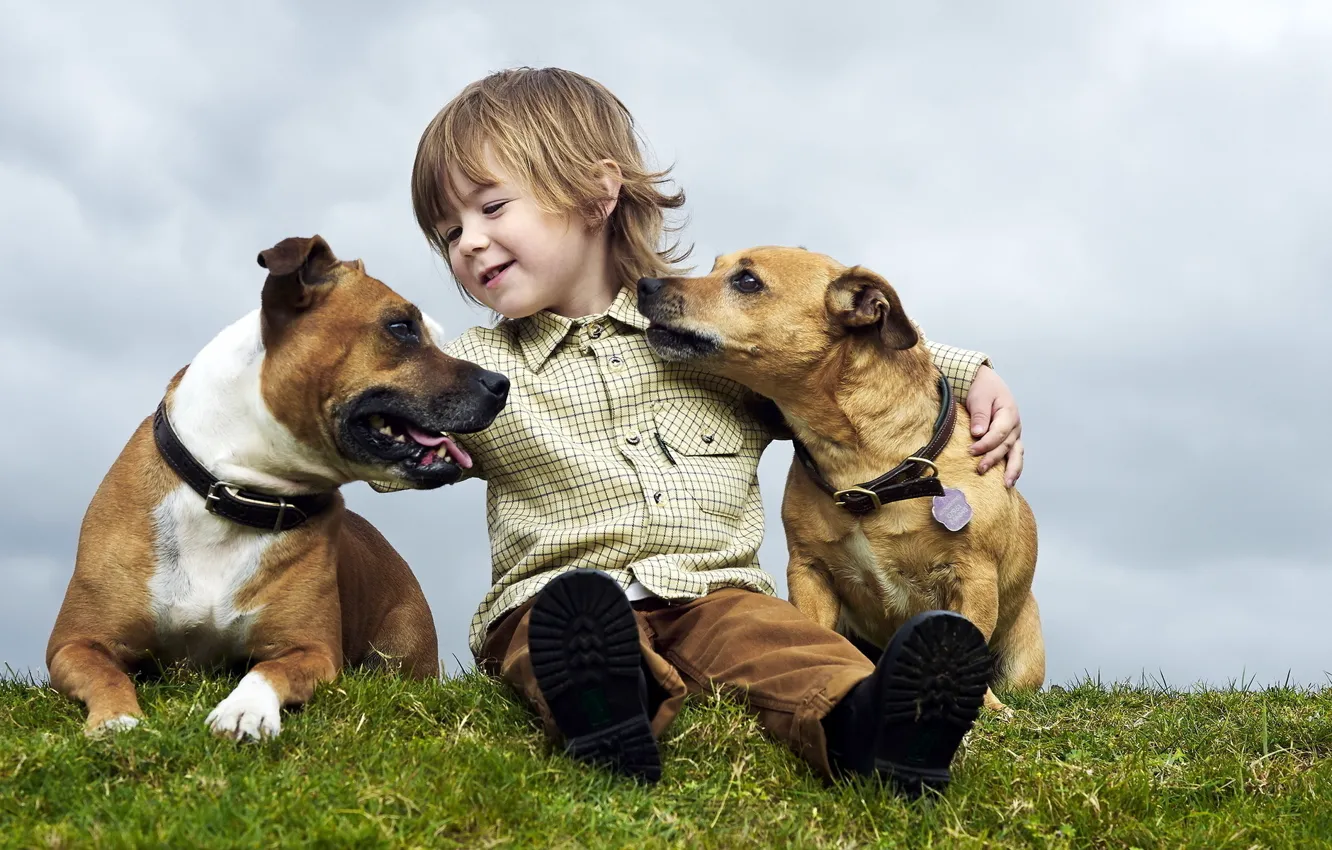 Фото обои лето, настроение, собака, мальчик, ребёнок