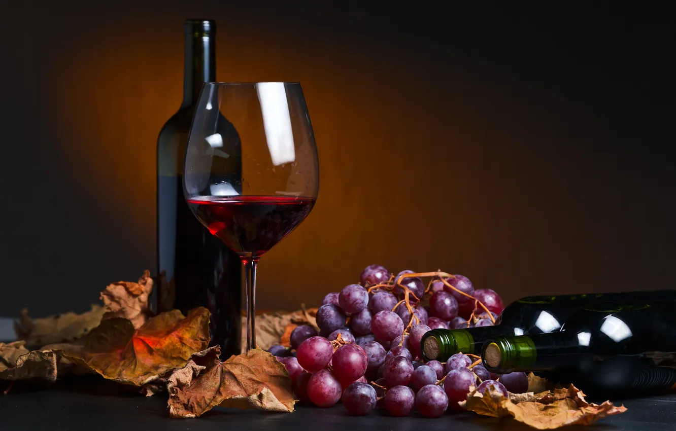 Фото обои vintage, wine, vine, taste, winery