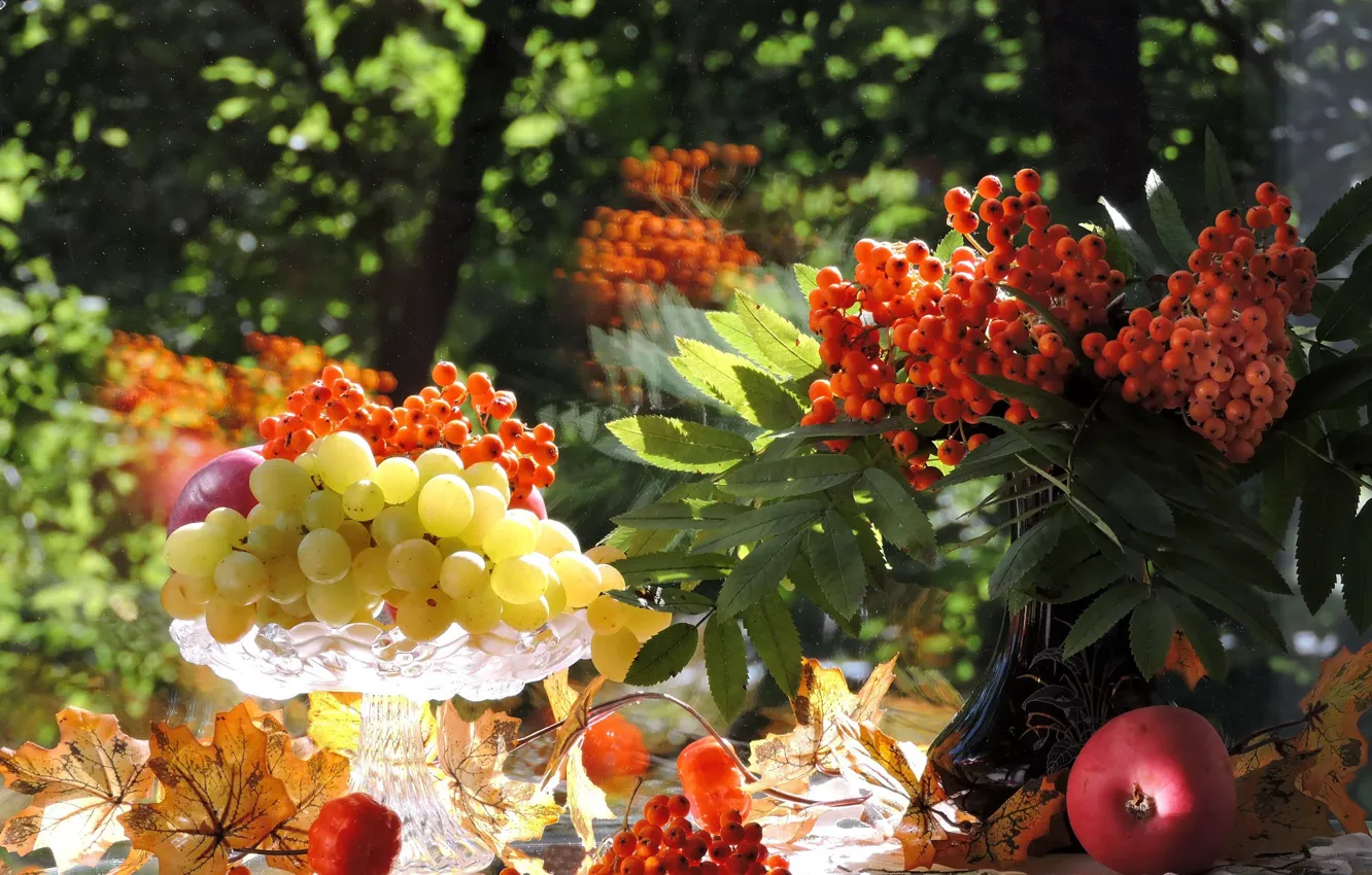 Фото обои осень, листья, фото, яблоки, виноград, август, натюрморт, рябина