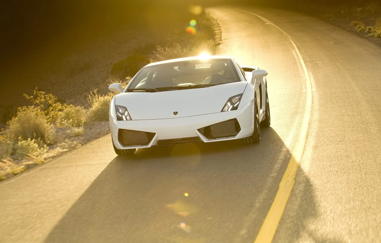 Фото обои дорога, car, освещение, white, блик, lamborghini gallardo