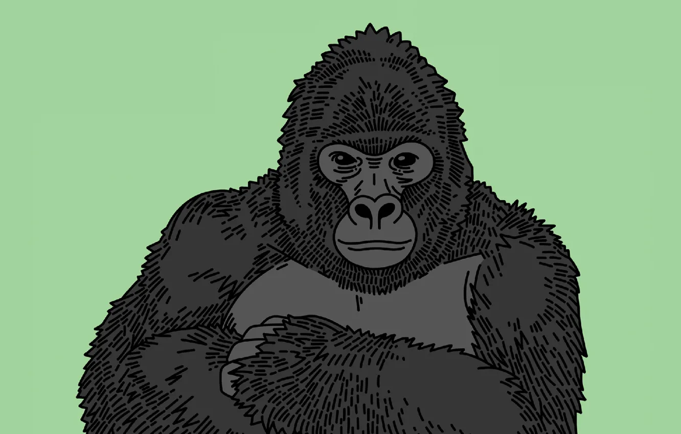 Фото обои Music, Cover, Monstercat, Dirty Audio, Gorilla Glue