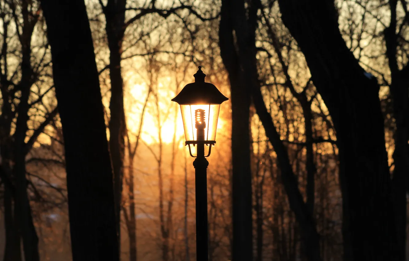 Фото обои зима, лампочка, солнце, закат, парк, освещение, фонарь, калуга